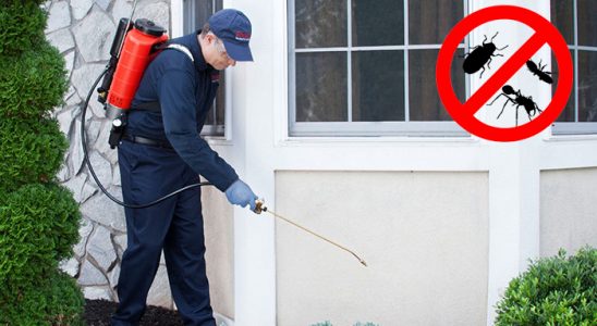 Karaisalı Bit İlaçlama böcek ilaçlama ve haşere kontrolü — ilaclama-tr.com